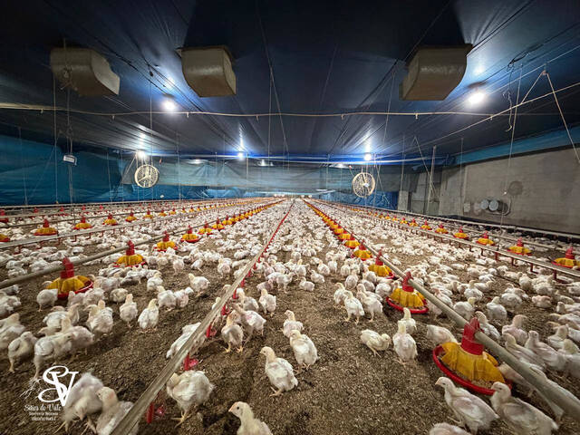 #D0342AP - Chácara para Venda em Apiúna - SC