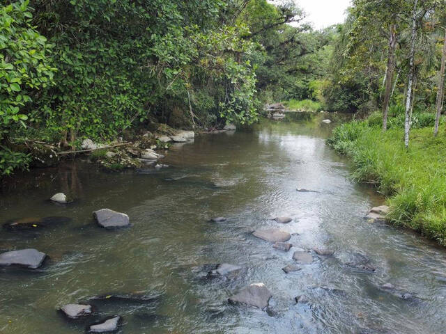 #D0343BN - Casa para Venda em Benedito Novo - SC - 3