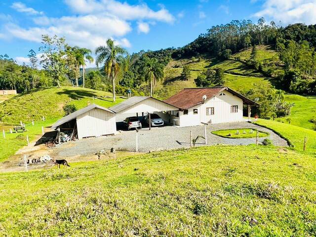 #D0345BN - Chácara para Venda em Benedito Novo - SC