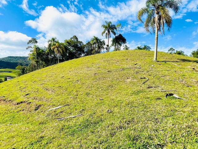 #D0345BN - Chácara para Venda em Benedito Novo - SC
