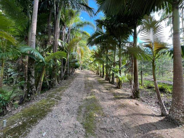 #D0350BN - Casa para Venda em Benedito Novo - SC