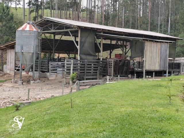 #D0357DE - Chácara para Venda em Blumenau - SC - 3