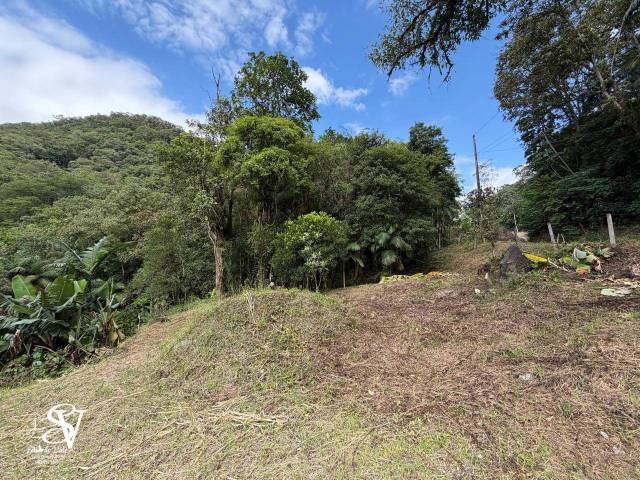 #D0361TB - Área para Venda em Timbó - SC - 2