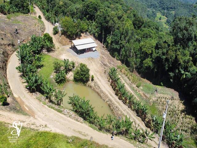 #D0364BN - Chácara para Venda em Benedito Novo - SC - 2