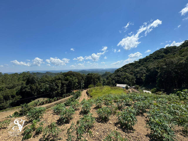 #D0364BN - Chácara para Venda em Benedito Novo - SC - 3