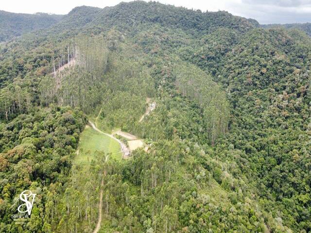 #D0369DP - Chácara para Venda em Doutor Pedrinho - SC - 2