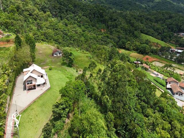 #D0372PO - Chácara para Venda em Pomerode - SC - 2