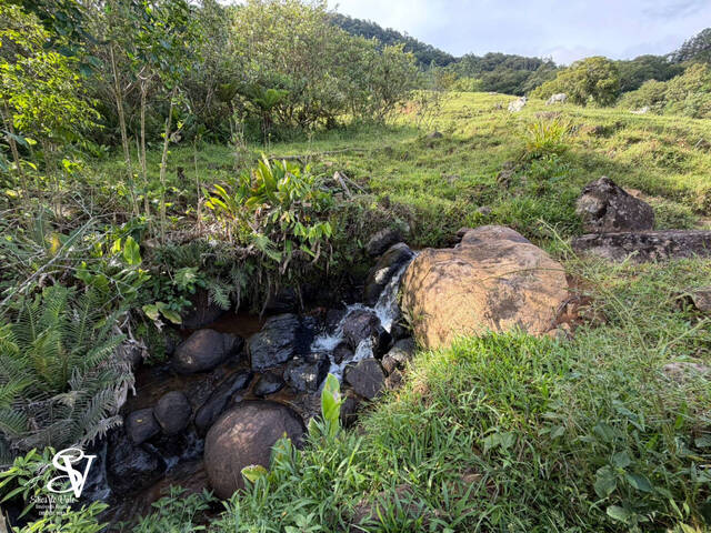 #D0370BN - Chácara para Venda em Benedito Novo - SC - 3