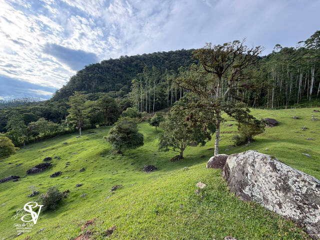 #D0370BN - Chácara para Venda em Benedito Novo - SC - 2