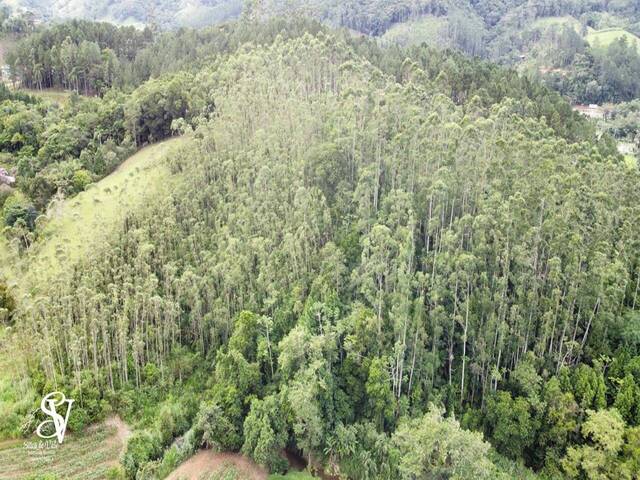 #D0374BN - Área para Venda em Benedito Novo - SC - 2