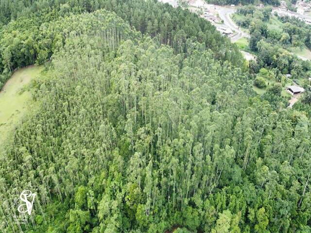 #D0374BN - Área para Venda em Benedito Novo - SC - 3