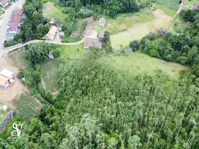 para em - 4