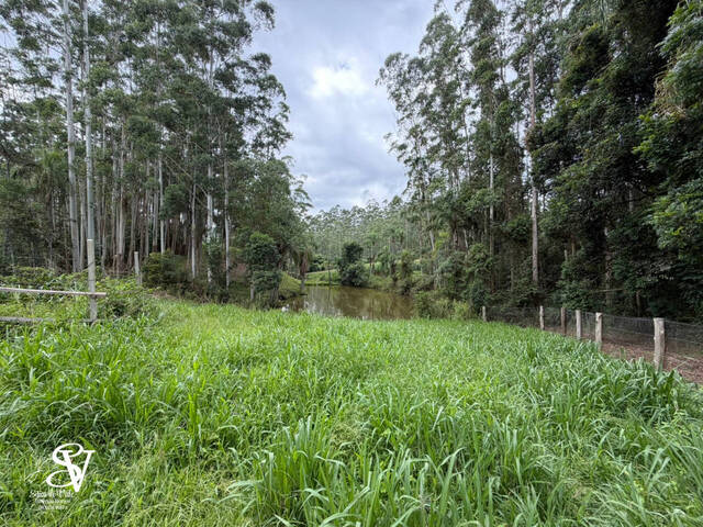 #D0375BN - Chácara para Venda em Benedito Novo - SC - 3