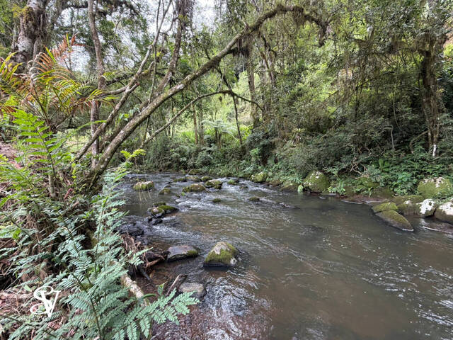 #D0375BN - Chácara para Venda em Benedito Novo - SC - 2