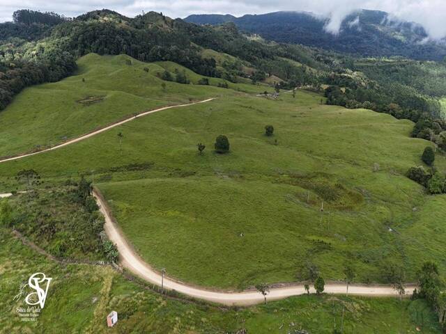 #D0378AP - Chácara para Venda em Apiúna - SC - 2
