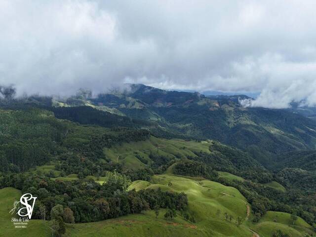 #D0378AP - Chácara para Venda em Apiúna - SC - 3