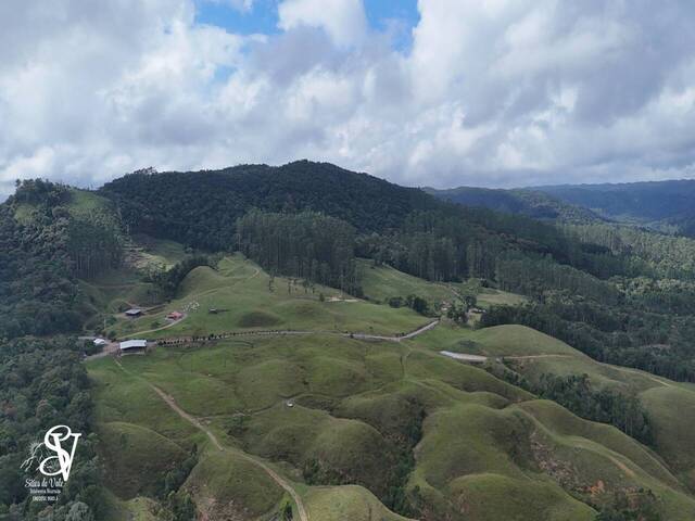 #D0327DP - Chácara para Venda em Doutor Pedrinho - SC - 2