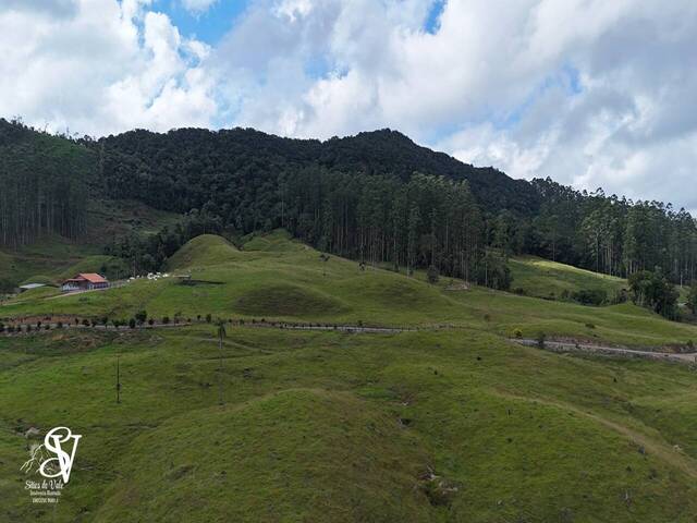 #D0327DP - Chácara para Venda em Doutor Pedrinho - SC - 3