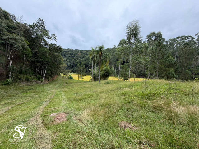 #D0383DP - Chácara para Venda em Doutor Pedrinho - SC - 2