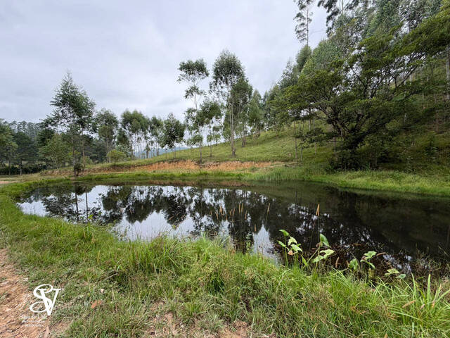 #D0383DP - Chácara para Venda em Doutor Pedrinho - SC - 3