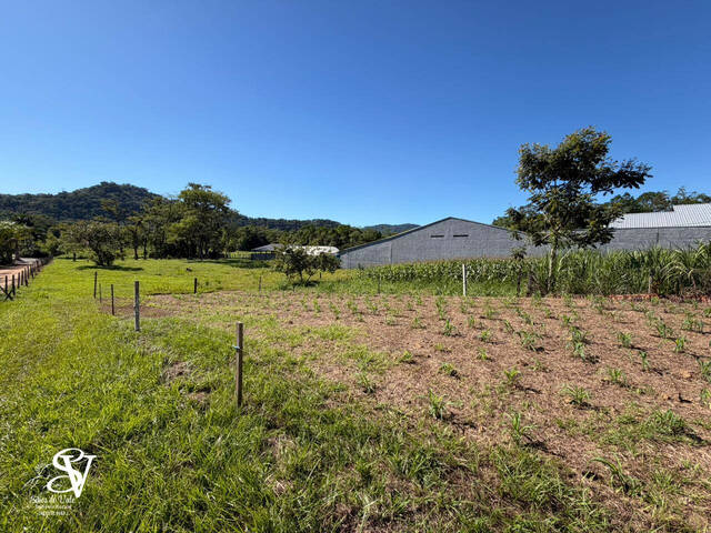 #D0385TB - Área para Venda em Timbó - SC - 3