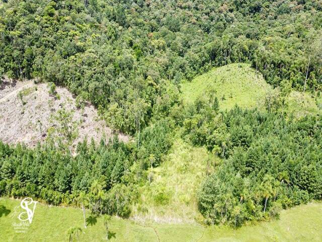 #D0386DP - Chácara para Venda em Doutor Pedrinho - SC - 3