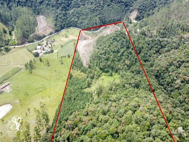 #D0386DP - Chácara para Venda em Doutor Pedrinho - SC - 1