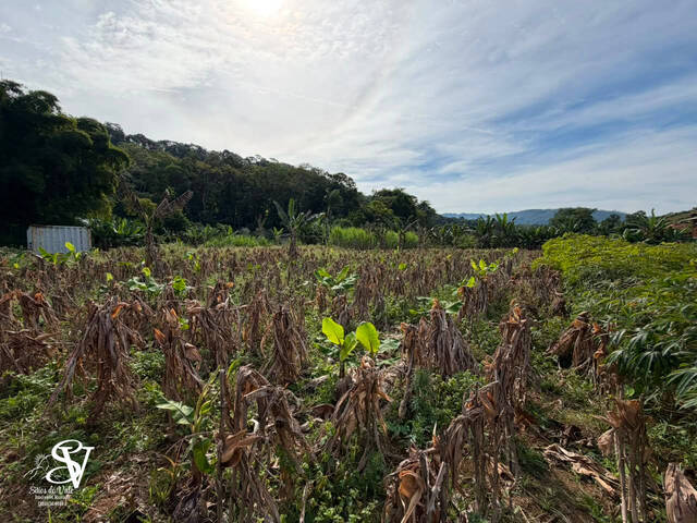 #D0390PO - Área para Venda em Pomerode - SC