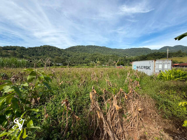 #D0390PO - Área para Venda em Pomerode - SC - 3