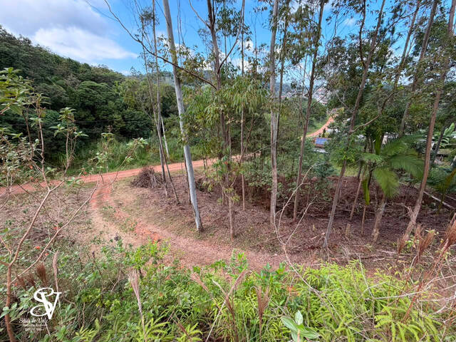 #D0392TB - Chácara para Venda em Timbó - SC - 3