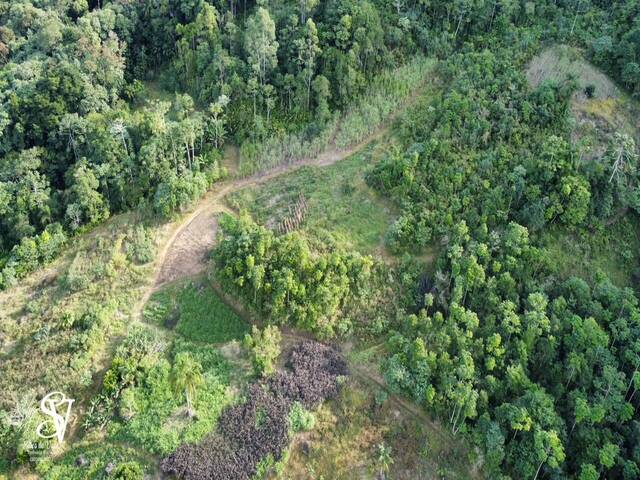 #D0394RO - Área para Venda em Rodeio - SC