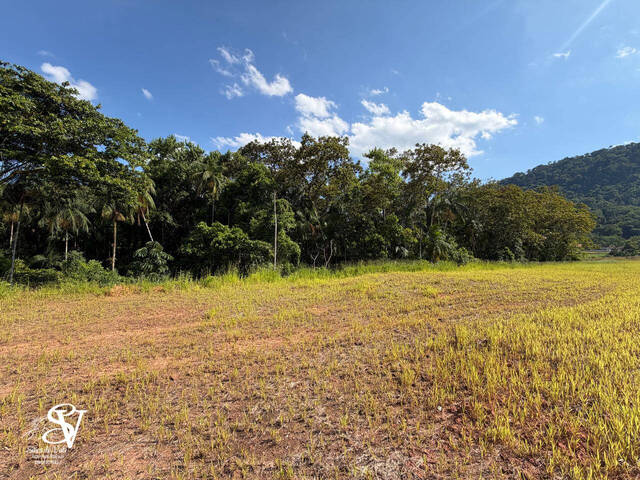 #D0318TB - Área para Venda em Timbó - SC - 3